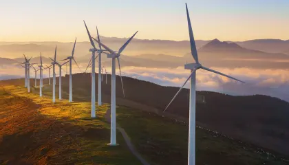 Transition Écologique